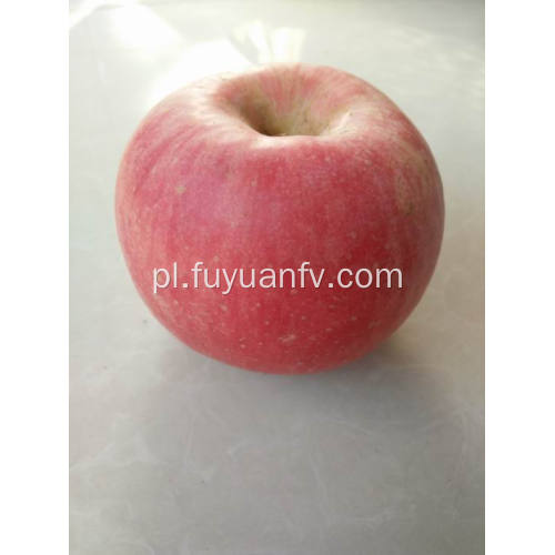 Round Fresh Cheap Fuji apple